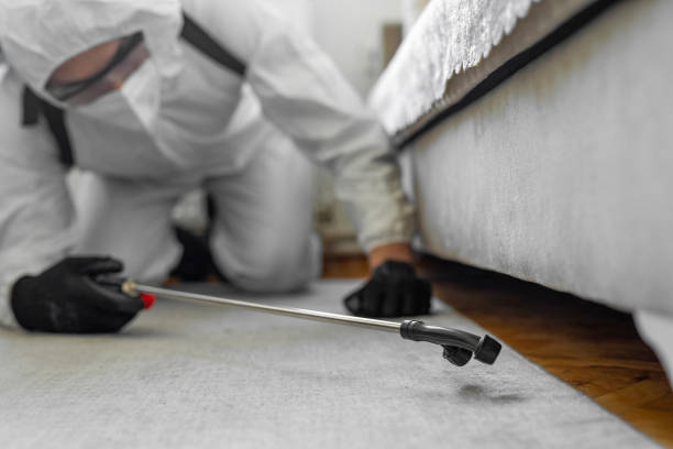 Professional Cockroach Control technician working in Postville, IA